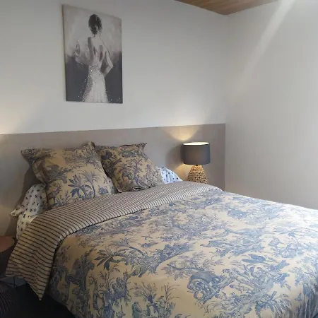Apartamento Gabrielle 40m2, Netflix,jardin Sainte-Savine