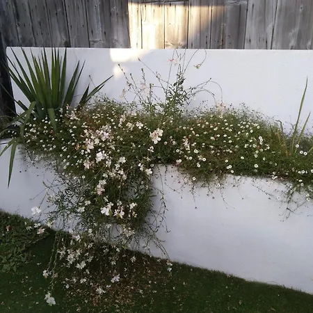 Gabrielle 40m2, Netflix,jardin Sainte-Savine